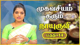 எதிரி தொல்லை நீங்க மூலிகை ரகசியம் | Nayuruvi | Nayuruvi Mooligai Benefits | Aadhan Aanmeegam