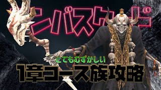 アンバス1章コース攻略 とてむずナイト視点