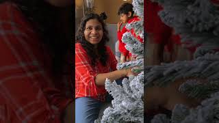 ഞങ്ങളുടെ പുതിയ ക്രിസ്മസ് ട്രീ| 25Days Of Christmas|#ChristmasTree @LiPibyLiBy