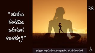 පටිච්චසමුප්පාදය තුලින් ජිවිතාවබෝධය 38 | Ven Aluthgamgoda Gnanaweera Thero | 09th May 2021