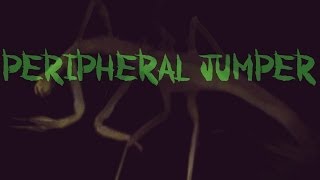 Scp 384 Let Her In Marshall Carter Dark Ltd