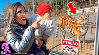 O RAVI VIU UM TIGRE DE PERTO ! *Insano - Fran Japa