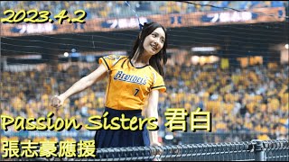 Passion Sisters 君白｜張志豪應援｜2023.4.2 洲際棒球場