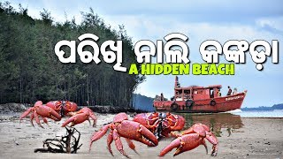 ବାଲେଶ୍ଵର ରୁ ପରୀଖି (Parikhi - A Hidden Beach with Red Crabs) || Go_Uttam