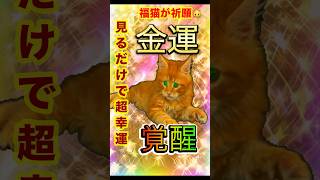 ⚠️【大金引寄せ】幸運の猫⛩️15秒見るだけで金運成就！✨莫大な富と幸運があなたの人生に訪れる🍀#金運上昇 #金運 #お金 #開運 #運気アップ #shorts  #引寄せ #幸運の前兆