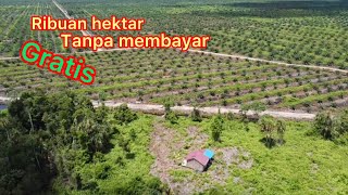 Garap lahan ribuan hektar,