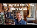 Aspinal of London Micro Lottie/What Fits/Compare to Regular Size Lottie