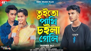 তুইতো  পাখি চইলা গেলি 😭 | Toito pakhi choila geli | |Bangla sad song|| Nur Love Plus