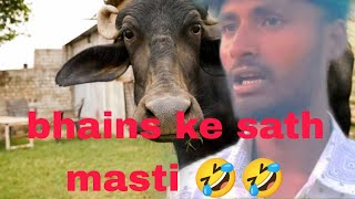 Sham 4 baje mein kya Kam karta hun 😂#aashurajput #vilog_video #trending #viral