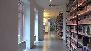 A Big Library | No Copyright Video