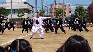 南葛飾高校 体育祭 白団 2018年