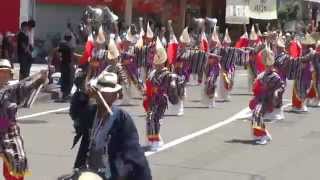 備中岡山 伊呂波　～2014高知よさこい祭り・本祭２日目(升形地域競演場)