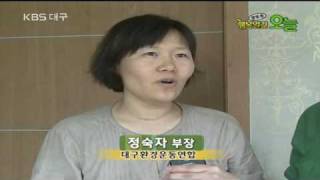 대구KBS 행복발견오늘 대구환경운동연합 방영분