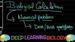 3 More numerical problems DNA RNA Quantification