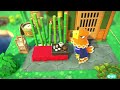 【あつ森】 14 茶屋の日本庭園 buzz animal crossing new horizons【ハッピーホームパラダイス】