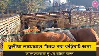 গাৱে-ভূঞে পিয়াপি দি ফুৰিছে গৰু চোৰে । ডুলীয়া লাহোৱাল গাঁৱত গৰু কঢ়িয়াই অনা সন্দেহজনক দুখন বাহন জব্দ