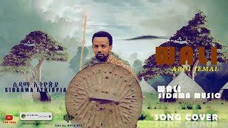 Ethiopian Sidama Music Abdi Jemal – WALI   አብዲ ጀማል   ዋሊ   የሲዳማ ብሔር ሙዚቃ እና ውዝዋዜ