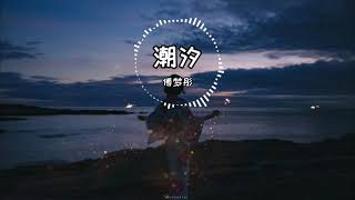 傅梦彤《潮汐》(歌词版)DJ版