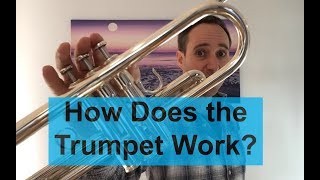 How Does the Trumpet Work?