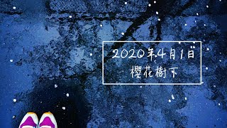 土佐稲荷神社、砂子水路の桜、花博記念公園鶴見緑地 | 2020年4月1日 大阪櫻花