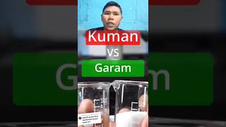 Apakah kuman bisa mati dengan cairan garam? #mikroskop #viralvideo #kuman #shorts #bakteri #fyp