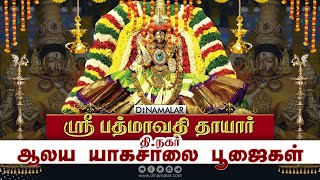 🔴Live : ஸ்ரீ பத்மாவதி தாயார்- தி.நகர் ஆலய யாகசாலை பூஜைகள் | Padmavathi | Chennai | Dinamalar Live