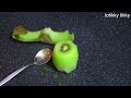 วิธีปอกเปลือกกีวีแบบง่ายๆ 3 วิธี how to peel a kiwi 3 ways