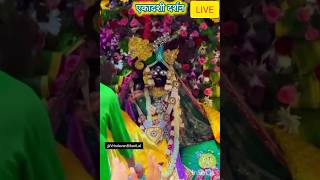 LIVE देवशयनी एकादशी के अति सुंदर दर्शन। #bankebihari #vrindavan #livedarshan #ekadashi #biharijilive