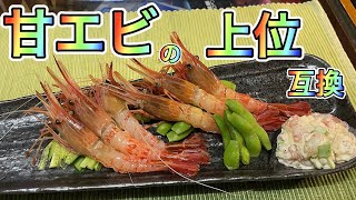 年に2ヶ月しか出回らない【レア海老】が旨すぎた！（買って魚捌き動画#32）