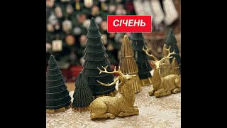 Вишивальний і НЕвишивальний СІЧЕНЬ