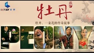 20140321 纪录片顶级首播 《牡丹》总宣传片