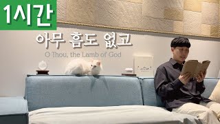 [1시간 반복재생] [찬송가 229장] 아무 흠도 없고 (O Thou, the Lamb of God)ㅣ호연하다