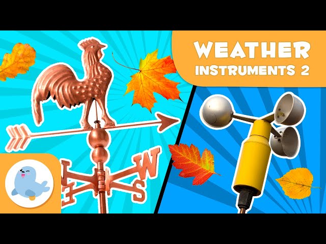 Weather Vanes And Anemometers рџќѓв µweather Instruments For Kids рџњђ Episode