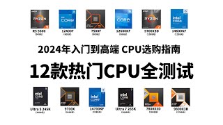 2024年从入门到高端12款热门CPU全测试，7500F可直接升级9800X3D