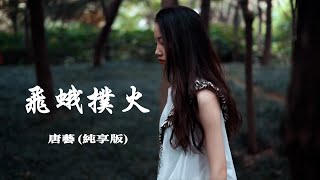 纯享版 《飞蛾扑火》 【动态歌词 Lyrics】「是否冥冥之中，注定你我没有结果，为何还要飞蛾扑火，是被情所困是为爱蹉跎」