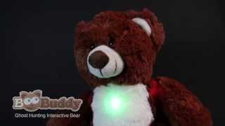 BooBuddy Ghost Hunting Interactive Bear