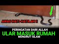 AWAS HATI-HATI !! Inilah 10 Peringatan Dari Allah Bila Ular Masuk Rumah Anda