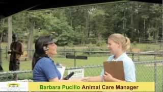 Training & Services SPCA - Training & Services SPCA - Training & Services SPCA -