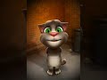 Nadaaniyan Lyrics Song 🎵😻 - Tom's Melody 😺🤠 #shorts #short #talkingtom #foryou #funny #lyrics #popit