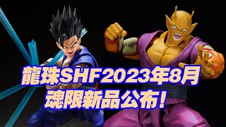 【濤光玩具箱】萬代龍珠SHFiguarts2023年魂限新品公布！劇場版最強人造人超級英雄橙色比克來襲！又一個終極悟飯配件包，野獸悟飯使用一樣的設計？