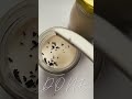 earlgreypudding 伯爵茶奶凍 超簡單 不失敗甜品 ❤️‍🔥