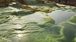 Danakil Depression Salt Flats - Big Green Sulfur Pools