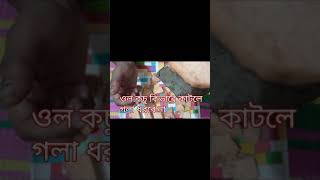 ওল কচু কিভাবে কাটলে একদম গলা ধরবে না। ওল রান্নার আগে সঠিক ভাবে তৈরি করে নিন। #ওল #গলাধরবেনা#ওলকচু