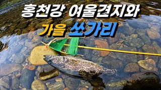 홍천강 여울 견지낚시 출조 / 3전 4기 가을 쏘가리