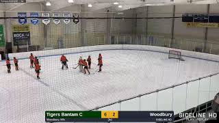 Tigers Bantam C @ Woodbury (2025.02.12)