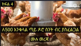 ለ 500 እንቁላል ጣይ ዶሮወቺ ስንት ብር ወጪ ያስፈልጋል ?ሙሉ መረጃ