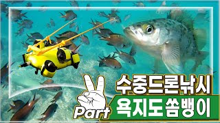 수중드론 낚시 part.2 ★ 여기가 국내라고??  실화 100%  욕지도 바다낚시  4K