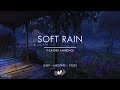 Soft Rain With Thunder | No Ads | Soothing Rain Sounds For Sleeping