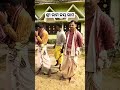 sabari mahan hai ram bhajan mein shorts shortfeed viral trending odia sambalpuri 🔥 🛕🙏