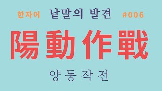 낱말의 발견 #006 양동작전... 양동(陽動)의 '陽'은 무슨 뜻인가?